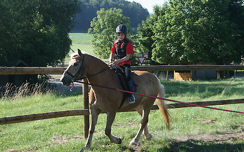 Reiten in Bayern